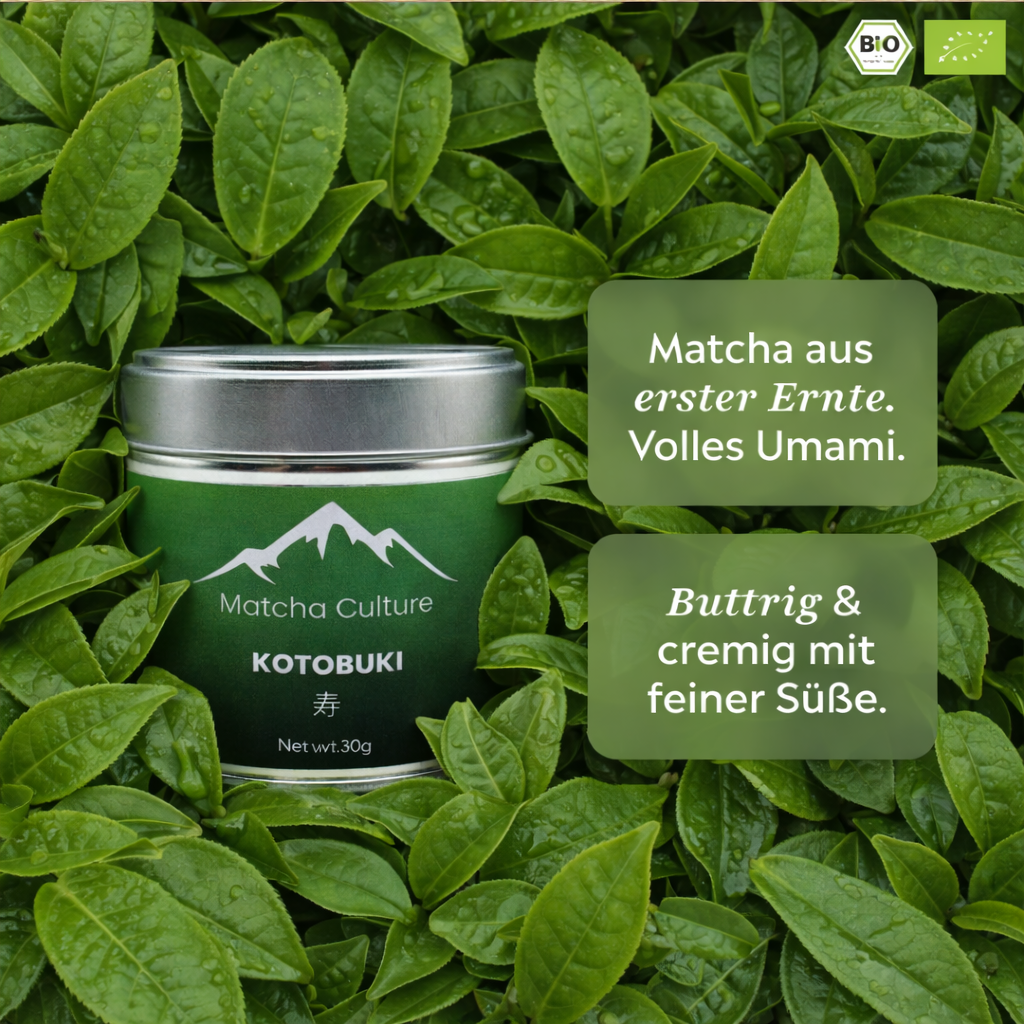 Premium Bio-Matcha KOTOBUKI