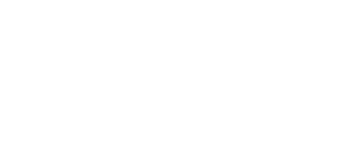 Matcha Culture Store